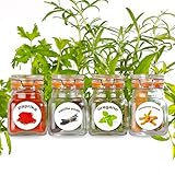 New - 50 Washable Plastic Herb and Spice Jar Labels. Colourful, Attractive Pictures of 50 Herbs And Spices.