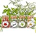 New - 50 Washable Plastic Herb and Spice Jar Labels. Colourful, Attractive Pictures of 50 Herbs And Spices.