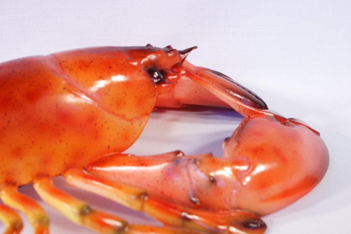 Charlotte Handpainted Red Lobster Wall Mount Decor Plaque 16 Buy Online In Albania At Albania Desertcart Com Productid 15962383