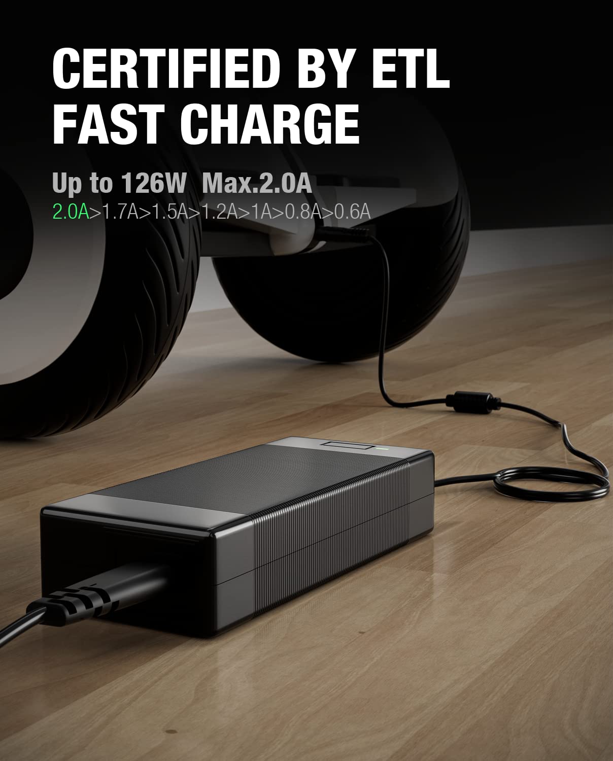 63V 2A Charger for Ninebot S/S-MAX/Mini PRO/Mini lite, 4 Prong 126W Power Supply Compatible with Ninebot by Segway Go Kart Kit,Gokart PRO 4 Pin Notched Connector Lithium Battery Charger Power Adapter