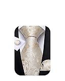 DiBanGu Champagne Gold Paisley Tie Silk Necktie and