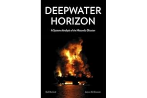 Deepwater Horizon: A Systems Analysis of the Macondo Disaster