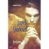 Angel in the Shadows, Book 1 by Lisa Grace: Angel Series