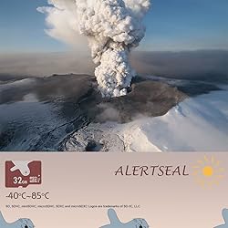ALERTSEAL 32GB microSD Class 10 FAT32 Memory Card