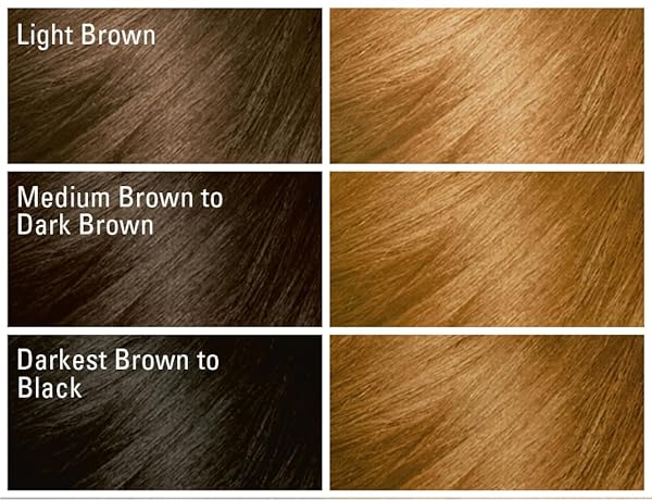 SOFTSHEEN-CARSON DARK AND LOVELY FADE RESIST RICH CONDITIONING HAIR COLOR, PERMANENT HAIR COLOR, UP TO 100 PERCENT GRAY COVERAGE, BRILLIANT SHINE WITH ARGAN OIL AND VITAMIN E, HONEY BLONDE