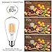 GEZEE 10W Edison Style Vintage LED Filament Light Bulb, 100W Incandescent Replacement,Warm White 2700K,1000LM, E26 Medium Base Lamp, ST21(ST64) Antique Shape, Dimmable(3-Pack)