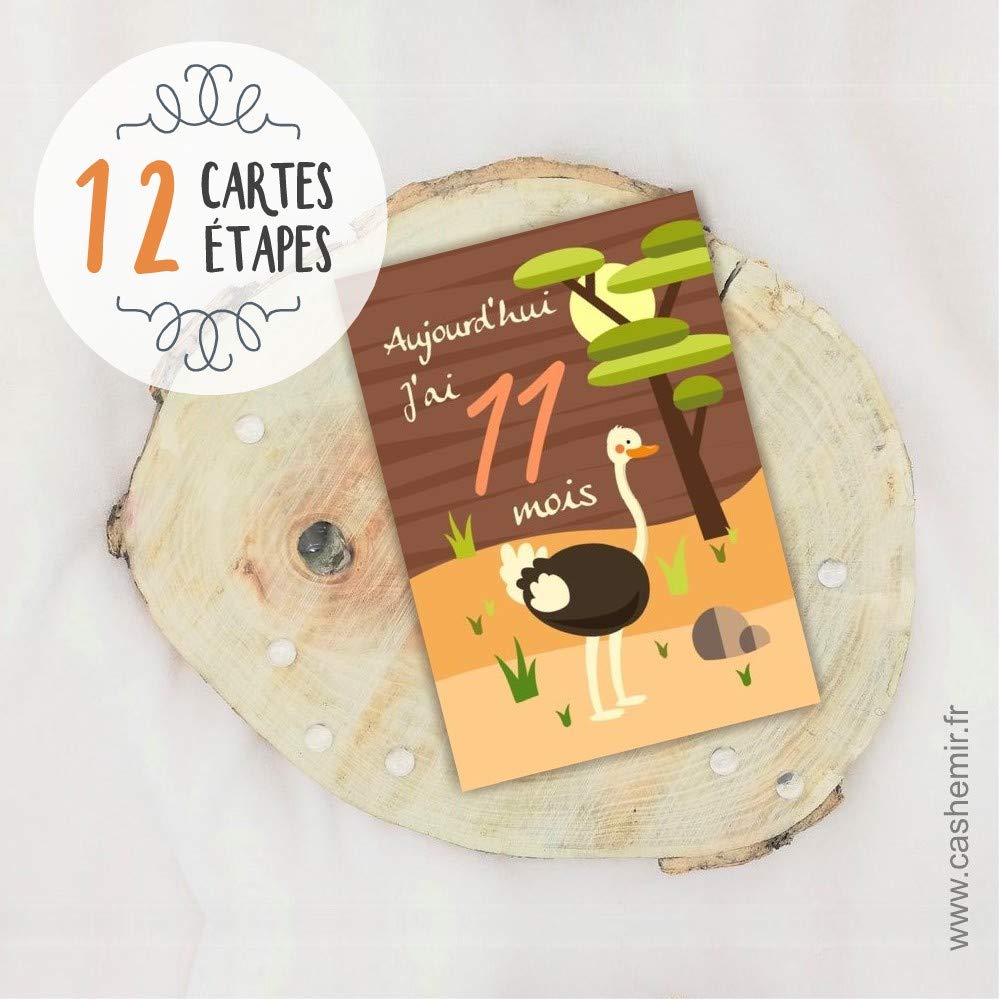 Bebe Et Puericulture Cadeaux Et Souvenirs Pour Nouveau Ne Cartes Etapes Bebe Premiere Annee De Bebe Lot De 12 Cartes En Papier Ha Cartes A Photographier Mes 12 Premiers Mois Carte Etape Theme