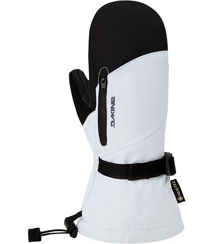 Amazon.com : Dakine Womens Leather Sequoia Gore-TEX Mitts - Black