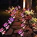 YiFi-Tek Outdoor Garden Solar Lights, Purple/White/Pink