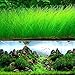 Aquarium Grass Plant Seeds, West Coast Easy Aquatic Live Plant, for Garden Lawn Fish Tank Aquarium Decor