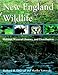 New England Wildlife: Habitat, Natural History, and Distribution