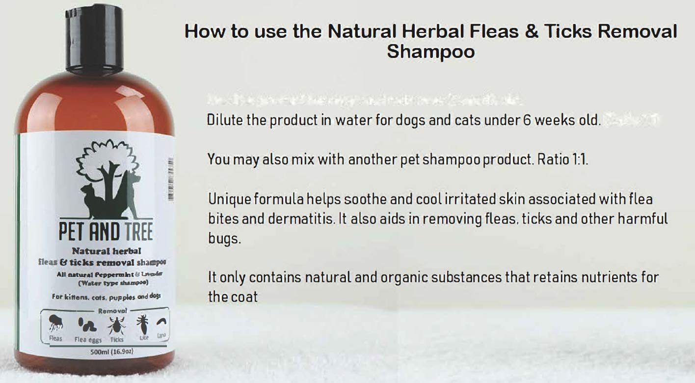 dog tick removal shampoo