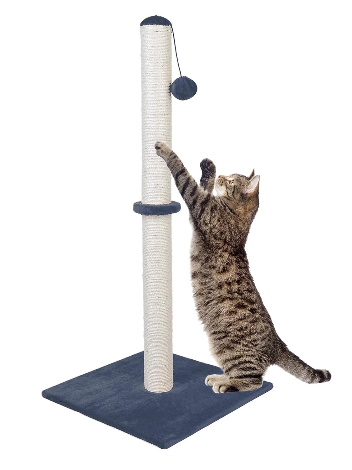 Best Cat Scratchers Home Decor