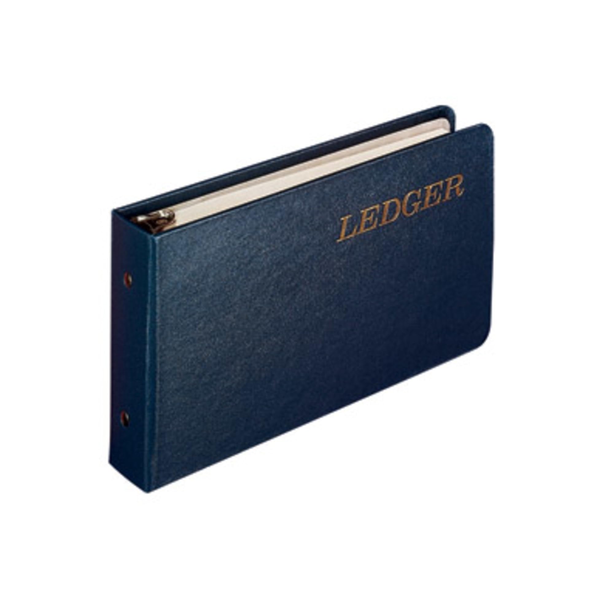 Wilson Jones Ring Ledger Outfit, Bookkeeping System with Ring Binder, Ledger Sheets, and A-Z Indexes (W0203-58BLA), Blue, 1.5"