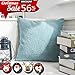 Spring Decorative Best Soft Velvet Throw Pillow Cover Accent Cushion Cover for Bed by Kevin Textile, 24x24 inch 1 Pieces,Niagara Blue