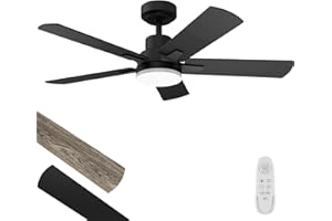 REGAIR Ceiling Fan with Light 42-Inch, Remote Control Reversible DC Motors, 3CCT Dimmable Timer Noiseless, Black Ceiling Fan for Bedroom Living Room, Indoor&Outdoor ETL Listed