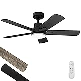 Ceiling Fan with Light 42-Inch, Remote Control