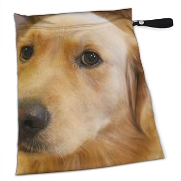 golden retriever diapers