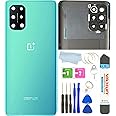 BSDTECH for Oneplus 8T Back Glass Cover Replacement with Camera Glass LensFlash for OnePlus 8T 5G KB2000 KB2005 (Green)