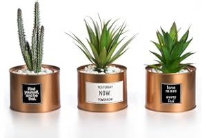 Opps Mini Artificial Plants Plastic Green Grass Cactus with Special Golden Can Pot Design for Home Décor – Set of 3