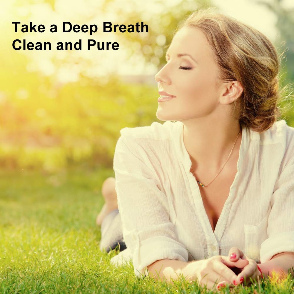 WoodyKnows Ultra-Breathable Nasal Filters, Seasonal and dust Allergies aid (Trial, Narrow, S/M/L/XL)