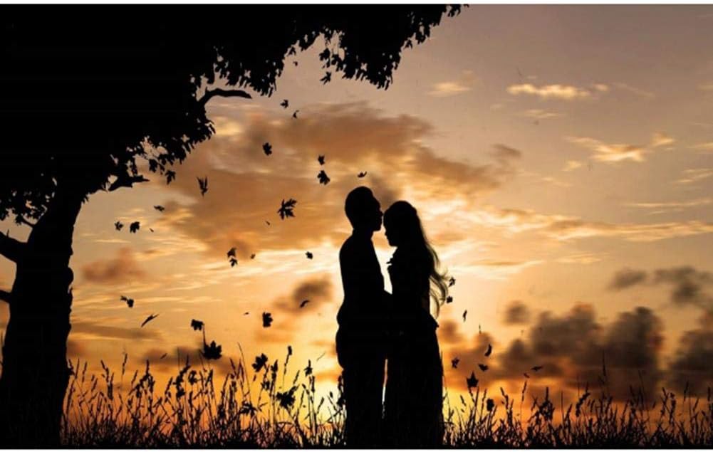 akaddy 5D DIY Full Drill Diamond Painting Romantic Lovers Cross Stitch Kits (m717)