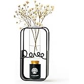 ChoiHeiy Plant Urn with Hydroponics Glass Vase, Small Urns for Human Ashes Keepsake, Memorial Keepsake Urn for Human Ashes, Mini Urns Small Urn for Ashes, Black