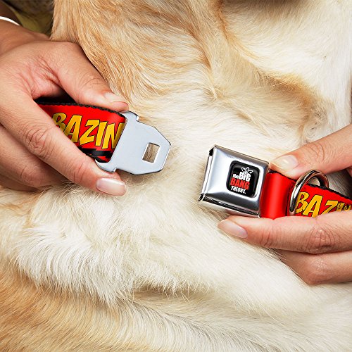 Buckle-Down Seatbelt Buckle Dog Collar - BAZINGA! Red/Gold/Black - 1" Wide - Fits 11-17" Neck - Medium