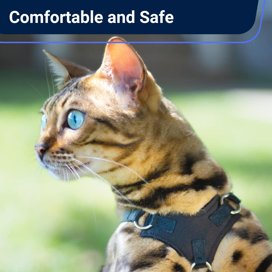 Large Cat Harness and Leash Set