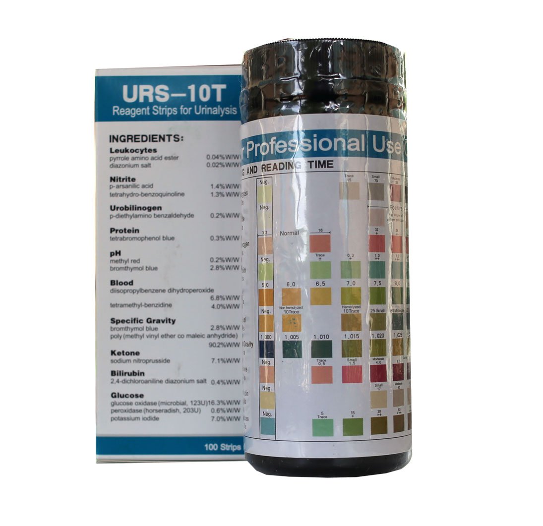 Urine Test Strip 10 Parameters 10 Pack, Total 1000 Strips Buy Online