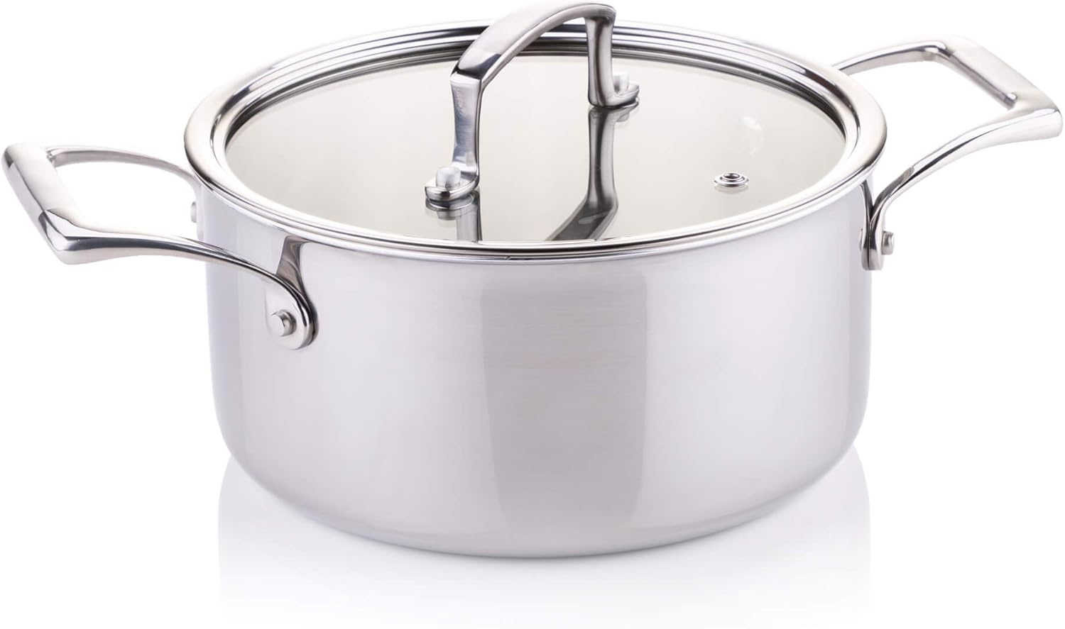 Casserole Pan For Induction Hob And Oven at Mary Villa blog