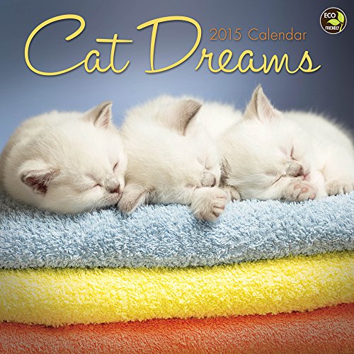 2015 Cat Dreams Wall Calendar