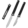OLITANS G016 Mini Slim Folding Scalpel with 5pcs #24 and 5pcs #60 G10 Handle with Liner Lock, Utility EDC Pocket Knife with Back Clip（Black）