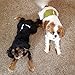 Wegreeco Washable Male Dog Belly Wrap - Pack of 3 - (Black,Blue,Olive,Small)