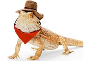 SEIS 2PCS Bearded Dragon Cowboy Hat and Bandana Halloween Lizard Reptile Costume Cool Pet Cap Small Animal Hamster Outfit Sui