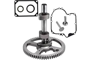 RYTIME 793880 84005207 Camshaft Compatible With Briggs and Stratton 793583 792681 791942 795102 4 Cycle Small Engine Camshaft Replacement Kit with Gasket