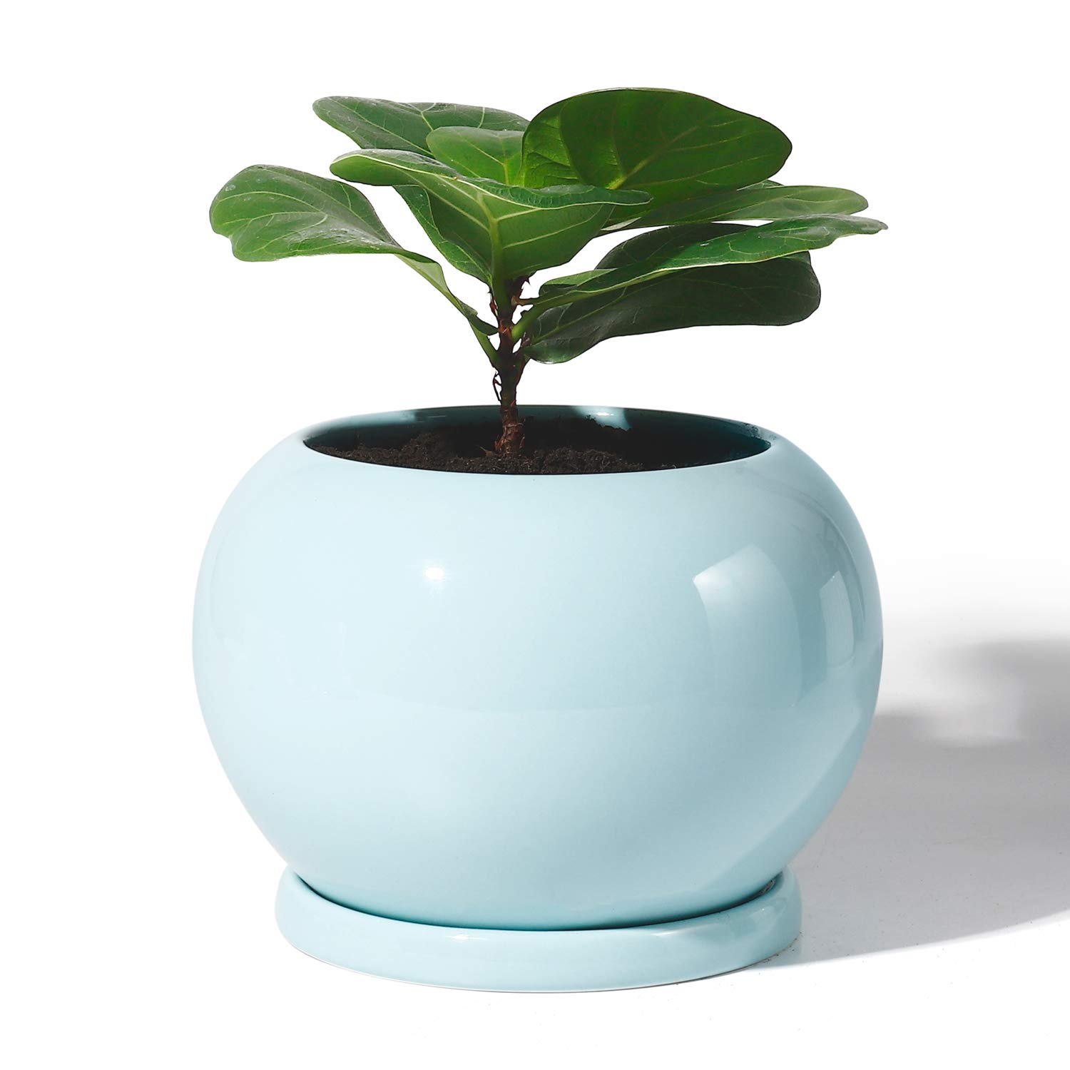 Potey Planter Ceramic Plant Flower Pot 5 Inch Large Indoor Glazed Container Bonsai With Drainage Hole Saucer Large Buy Online In Dominica At Dominica Desertcart Com Productid 170471161