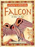 Little Earth Medicine Library: Falcon