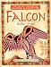 Little Earth Medicine Library: Falcon by