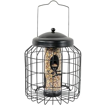 Sunnydaze 12 Inch Black 4 Peg Squirrel Proof Wild Bird Feeder