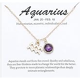 TGOLM 14k Gold Plated Zodiac Birthstone Crystal Pendant Necklace, Horoscope Sign Charm Necklace for Women Birthday Gift