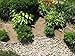 EasyFlex Aluminum Landscape Edging Project Kit, Will Not Rust Like Steel, Bronze (1806BZ-24C)