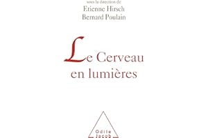 Le Cerveau en lumières (French Edition)