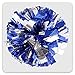 PUZINE 13'' Cheering Squad Spirited Fun Cheerleading Kit Cheer Poms Pack of 2(100g)