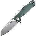 Petrified fish PF868 Bunta,3.35" D2 Satin Blade,146g G10 Handle Flipper Folding knife (Green G10)