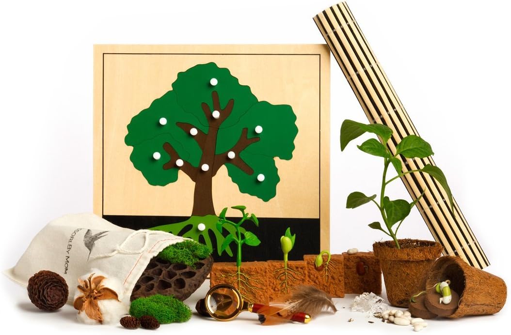 Montessori By Mom Shoots and Sprouts Kids Toolbox