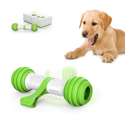 lab dog toys
