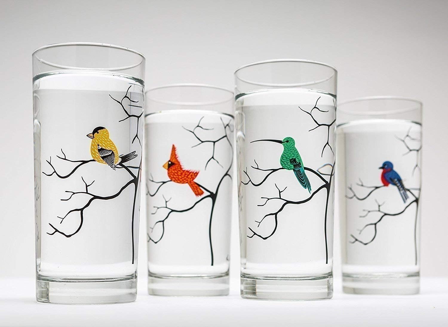 Bird Lover Glassware Gift Set of 4 Highball Glasses, Artist Made in the USA - Cardinal, Finch, Hummingbird, Bluebird