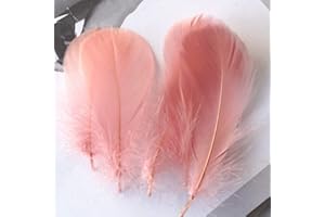 FEATUMAN 100Pcs Light Pink Natural Goose Feathers, 3-5Inch Centerpieces Feahers Bulk, Colorful Craft Feathers for Wedding Party Centerpieces Vase Home Halloween Decoration