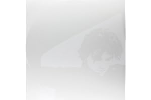 Continuum (Vinyl)